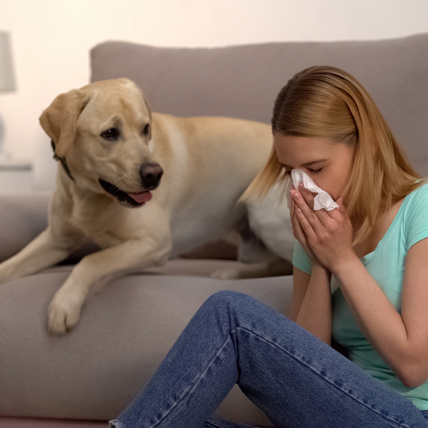 Frau mit Taschentuch neben ihrem Hund auf dem Sofa — typische allergische Reaktion